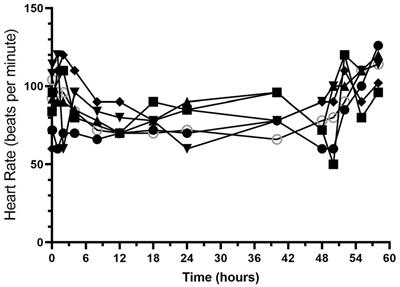 Pharmacokinetics of a continuous intravenous infusion of hydromorphone in healthy dogs